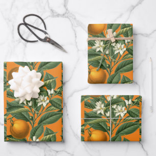 Vintage Botanical Orange Fruit Blossom Pattern Wrapping Paper Sheet