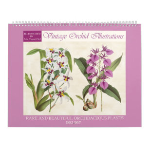 Vintage Botanical Orchid Illustrations 2025 Calendar