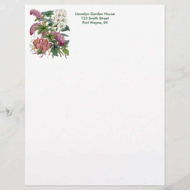 Vintage Botanical Page Customized Letterhead (Front)