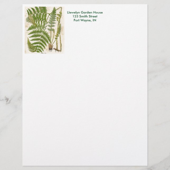 Vintage Botanical Page - Fern Letterhead (Front)