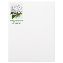 Vintage Botanical Page - White Hydrangea