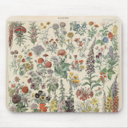 Vintage Botanical Pattern Mouse Mat