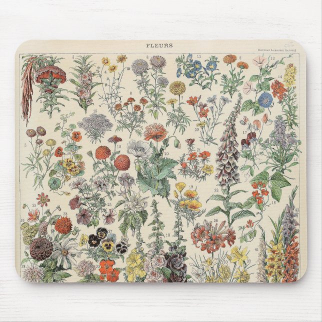 Vintage Botanical Pattern Mouse Mat (Front)