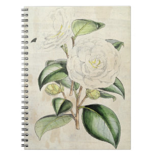 Vintage Botanical Pearl Camellia Notebook