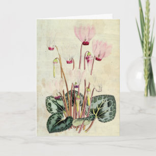 Vintage Botanical Persian Cyclamen Card
