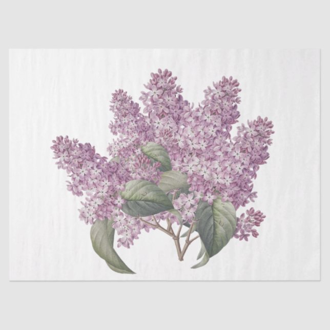 Vintage Botanical Pink Lilac Bouquet Decoupage Tissue Paper (Front)