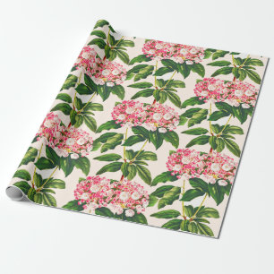 Vintage Botanical Pink Mountain Laurel Flower  Wrapping Paper