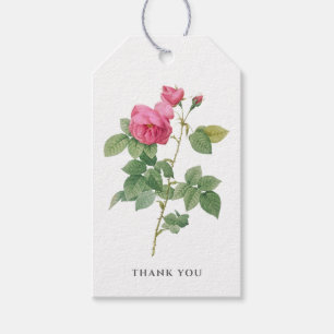 Vintage Botanical Pink Rose Thank You Gift Tags