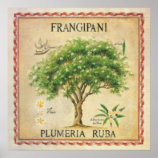 Vintage Botanical Plumeria Tree Art Deco Poster