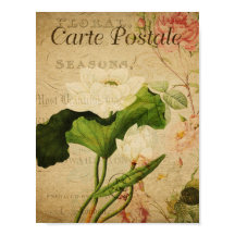 Vintage Botanical Poster - French Lotus