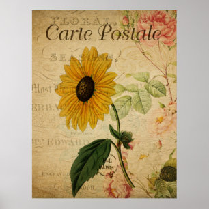 Vintage Botanical Poster - French Sunflower