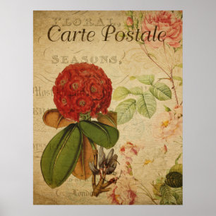 Vintage Botanical Poster - Rhododenron