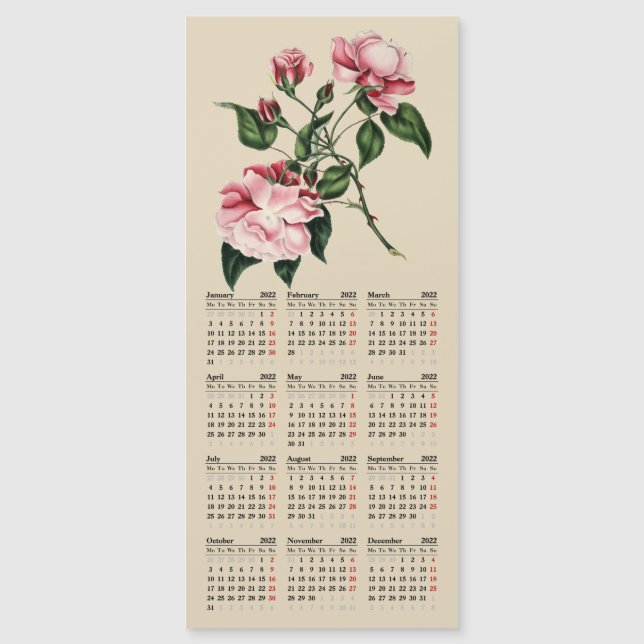 vintage botanical print 2022 calendar  (Front)