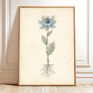 Vintage Botanical Print Canvas Art