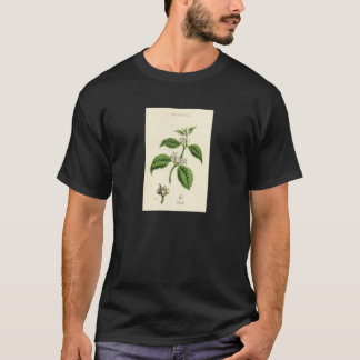 Vintage Botanical Print - Coffee T-Shirt