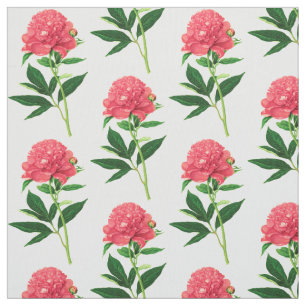 Vintage Botanical Print, Coral Pink Peony Fabric