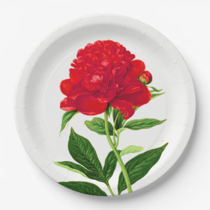 Vintage Botanical Print, Deep Red Peony Paper Plate