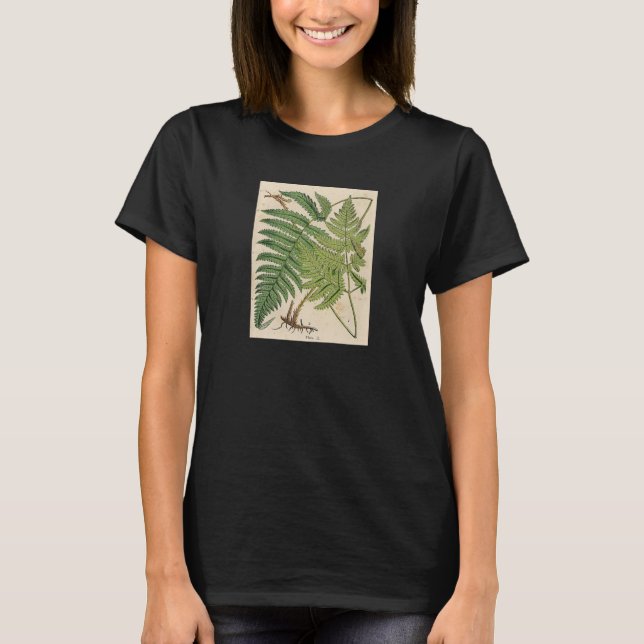 Vintage Botanical Print - Ferns T-Shirt (Front)
