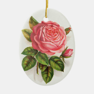 Vintage botanical print La Reine pink rose Ceramic Tree Decoration