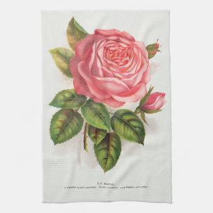 Vintage botanical print La Reine pink rose Tea Towel