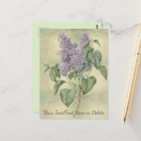Vintage Botanical Purple Lilac Syringa Vulgaris