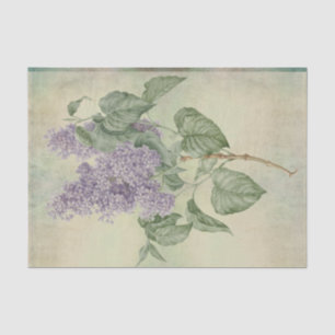 Vintage Botanical Purple Lilac Syringa Vulgaris Tissue Paper