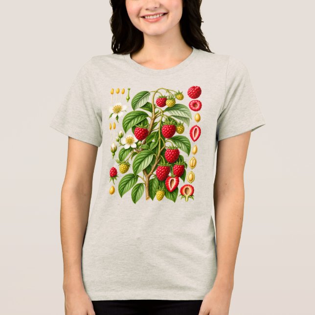 Vintage Botanical Raspberry Illustration Tri-Blend Shirt (Front)
