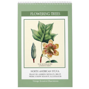 Vintage Botanical Redoute Flowering Trees 2027 Calendar