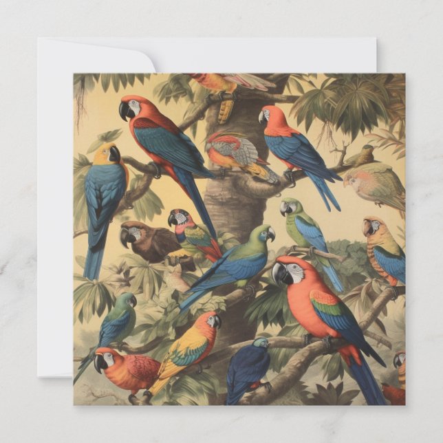 Vintage botanical scene colourful parrots in a tre (Front)
