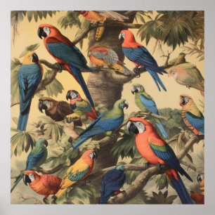 Vintage botanical scene colourful parrots in a tre poster