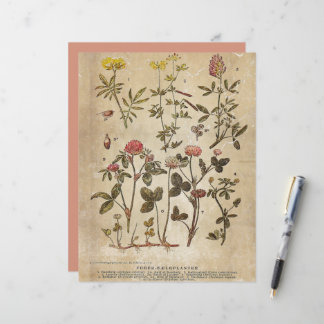 Vintage Botanical Scrapbook Paper
