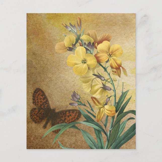 Vintage Botanical Scrapbook Paper (Front)