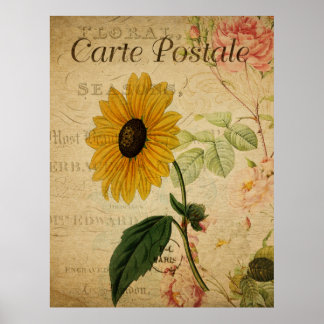 Vintage Botanical Sunflower Postcard Poster