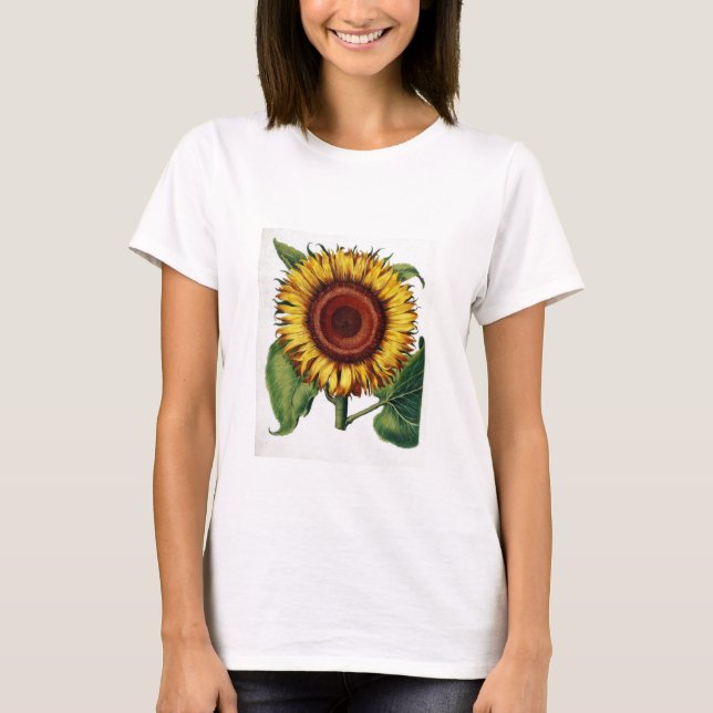 Vintage Botanical - Sunflower, T-Shirt (Front)
