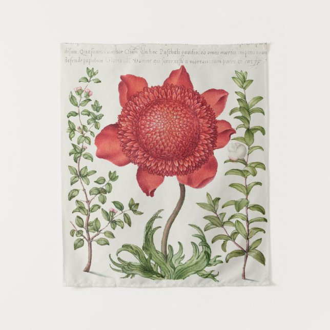 vintage Botanical Tapestry (Front)