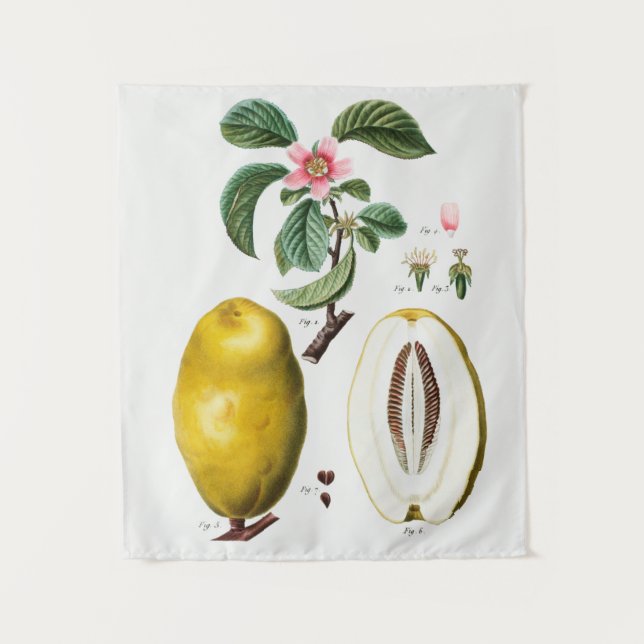 vintage Botanical Tapestry (Front)