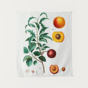 vintage Botanical Tapestry