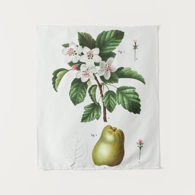 vintage Botanical Tapestry (Front)