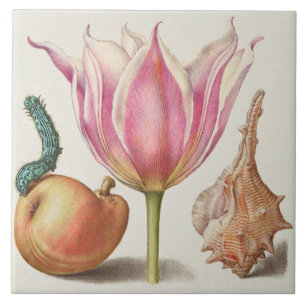 Vintage Botanical Tile