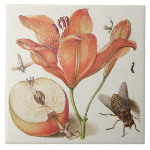 Vintage Botanical Tile