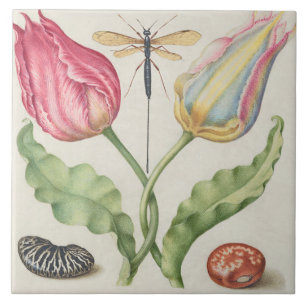 Vintage Botanical Tile