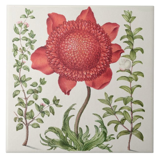 Vintage Botanical Tile (Front)