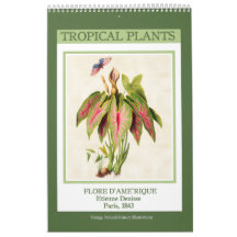 Vintage Botanical Tropical Plants 2027