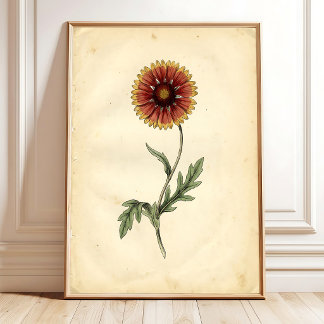 Vintage Botanical Wall Art