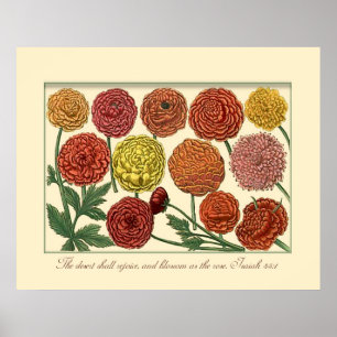 Vintage Botanical with Isaiah Scripture Verse Poster