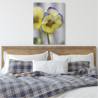 Vintage Botanical - yellow and purple Pansies Canvas Print
