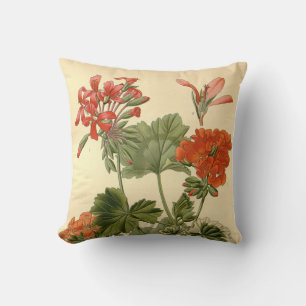 Vintage Botanical Zonal Geranium Floral Illustrati Cushion