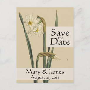 Vintage Botanicals Daffodil Save the Date Postcard