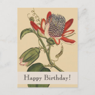 Vintage Botanicals Happy Birthday Postcard