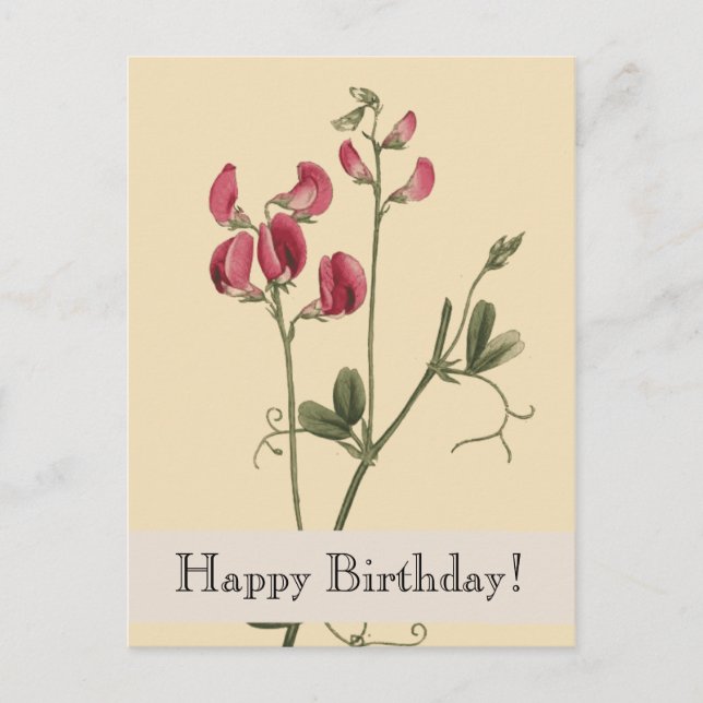 Vintage Botanicals Happy Birthday Postcard (Front)